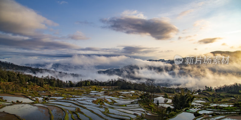 秘境雾霭-1