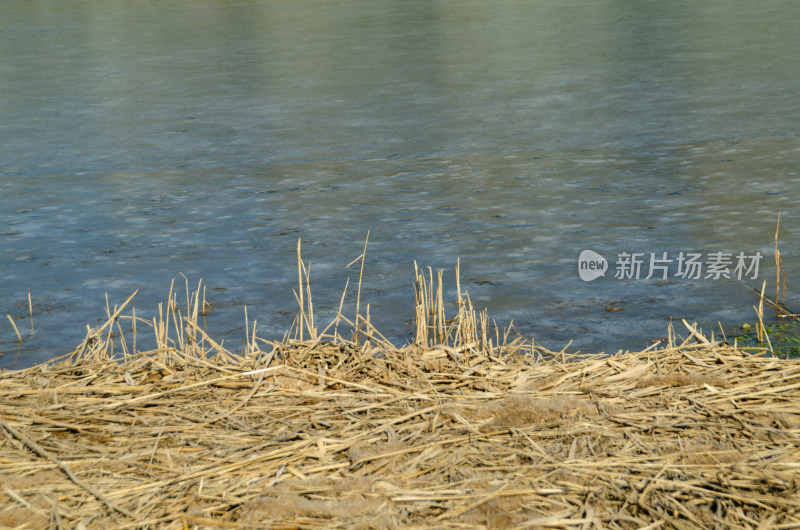 冬季荒凉的河岸