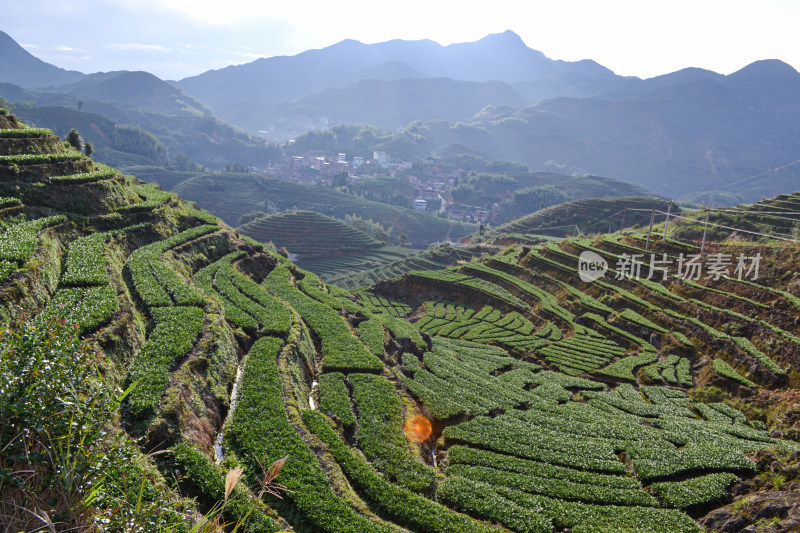 山林间的村庄全景