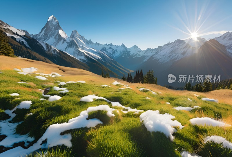 雪山草原森林风景