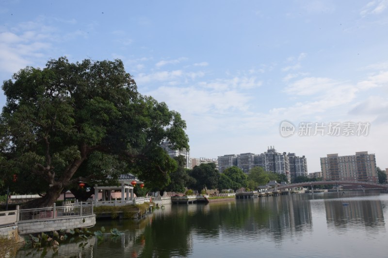 广东东莞：横丽湖沿湖风光