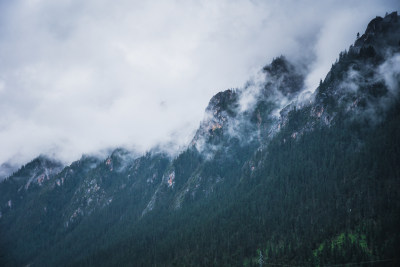 云雾缭绕的山峰水墨山水画