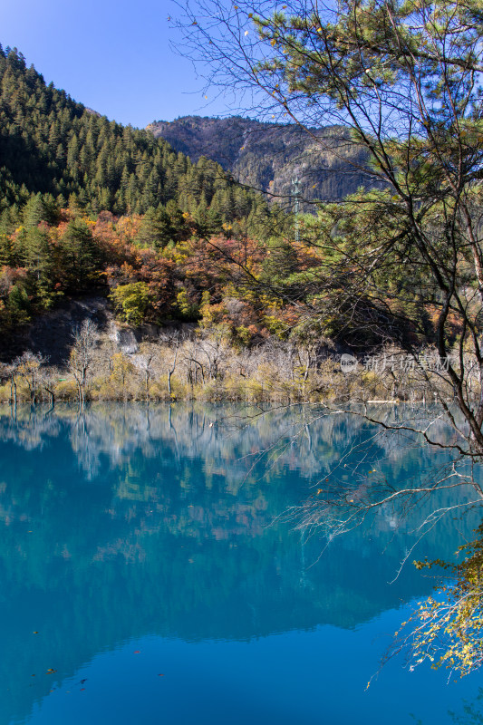 九寨沟秋色，平静蓝色水面与山林秋叶