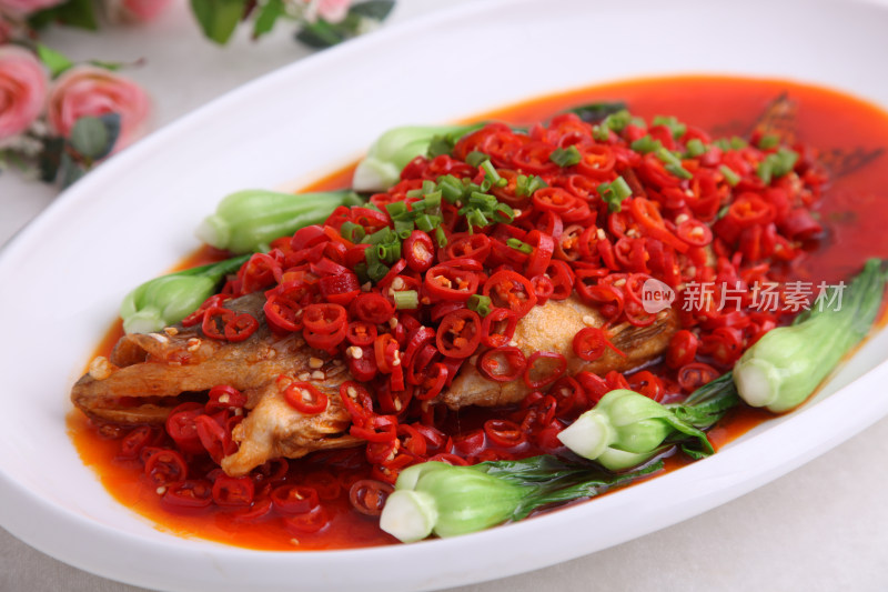 红袍桂鱼