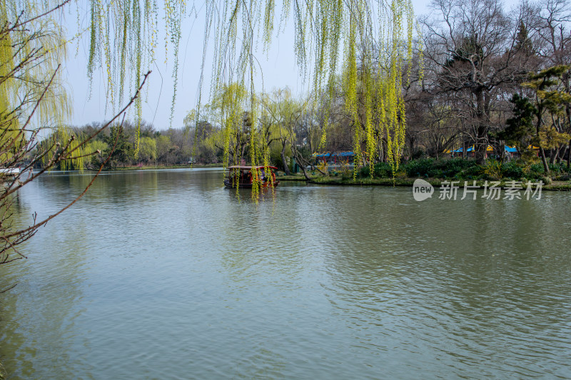 江苏省扬州市瘦西湖风景区湖岸春色