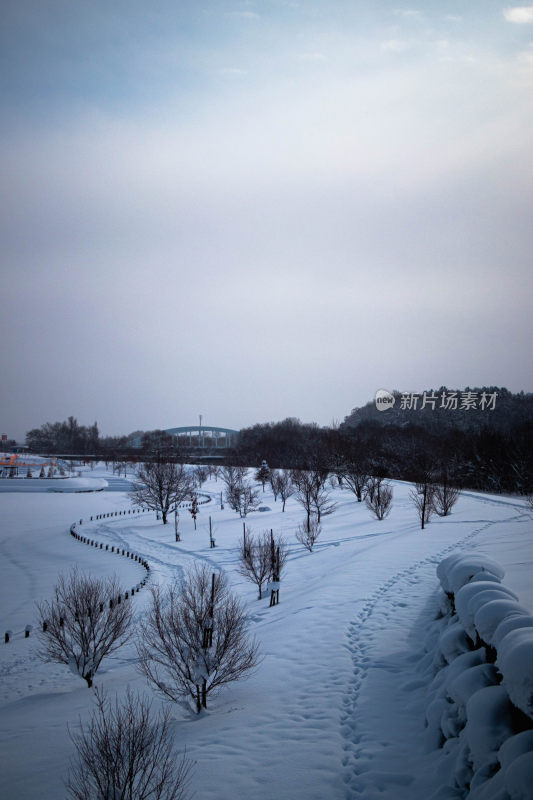 雪后公园小路积雪覆盖树木萧瑟之景