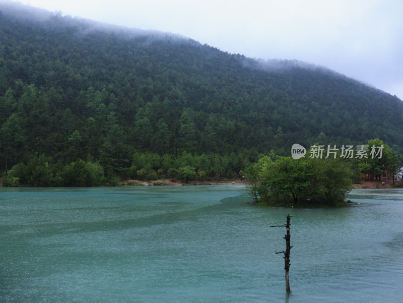 雪山脚下雨中的蓝月谷