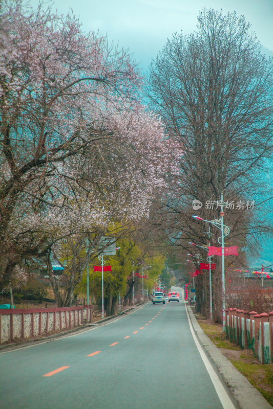 在路上的风景