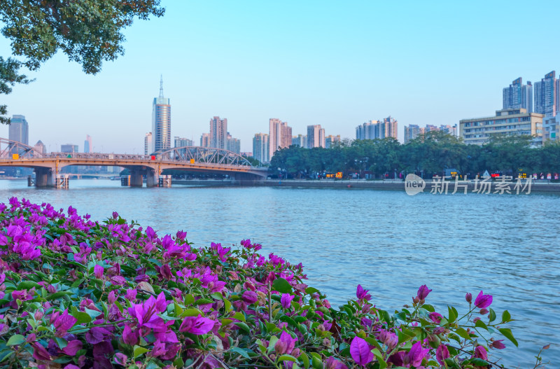 广州珠江海珠桥与滨江城市高楼建筑