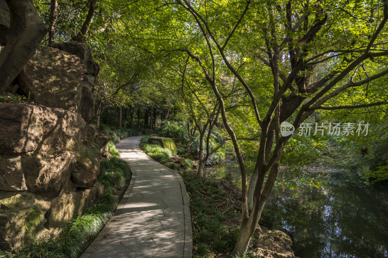 杭州西湖风景区曲院风荷风景