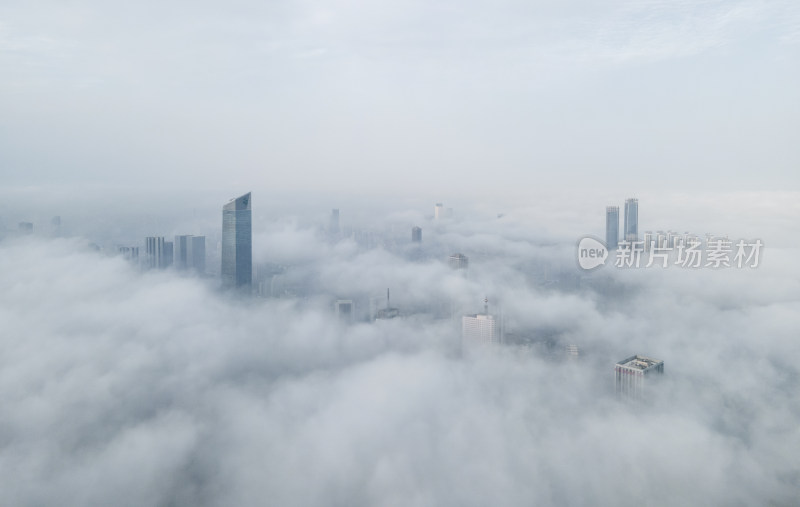 城市上空的平流雾