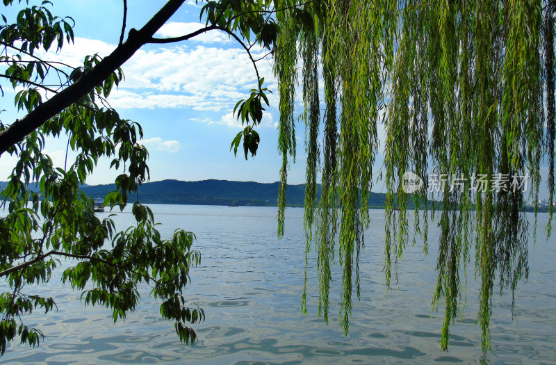 杭州西湖景观