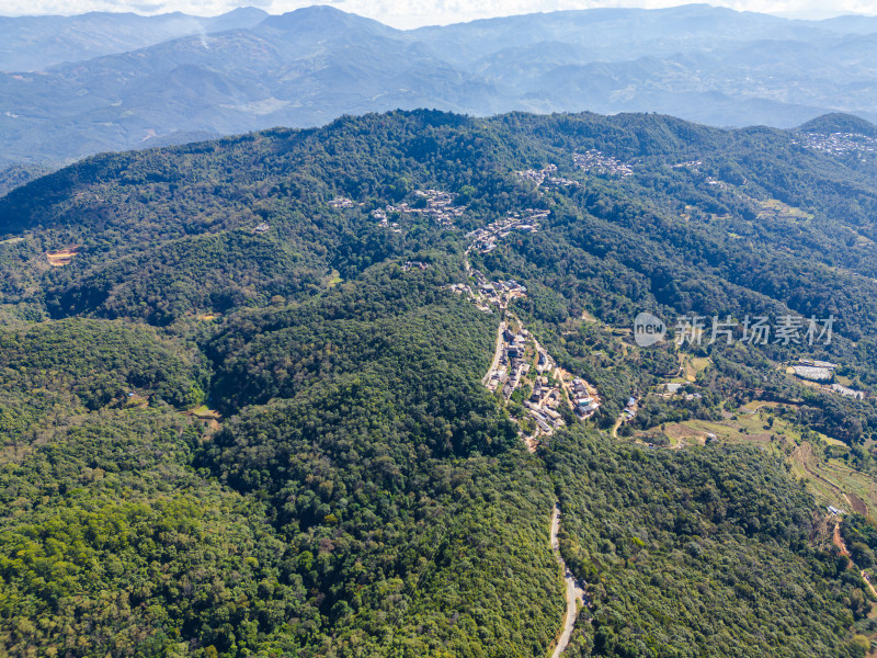 航拍被森林环绕的景迈山村庄全景