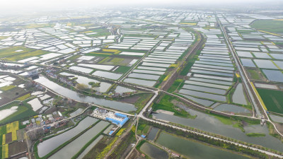 湖北连片的鱼塘养殖