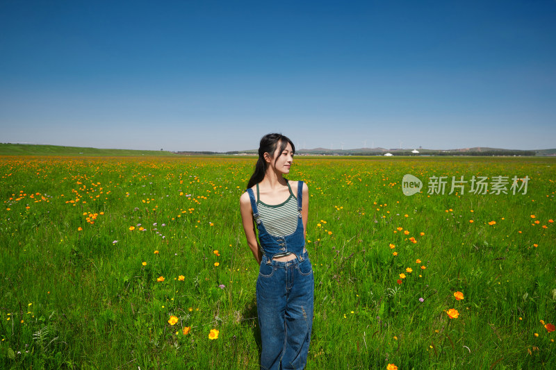 盛夏在草原湿地公园游玩的姑娘