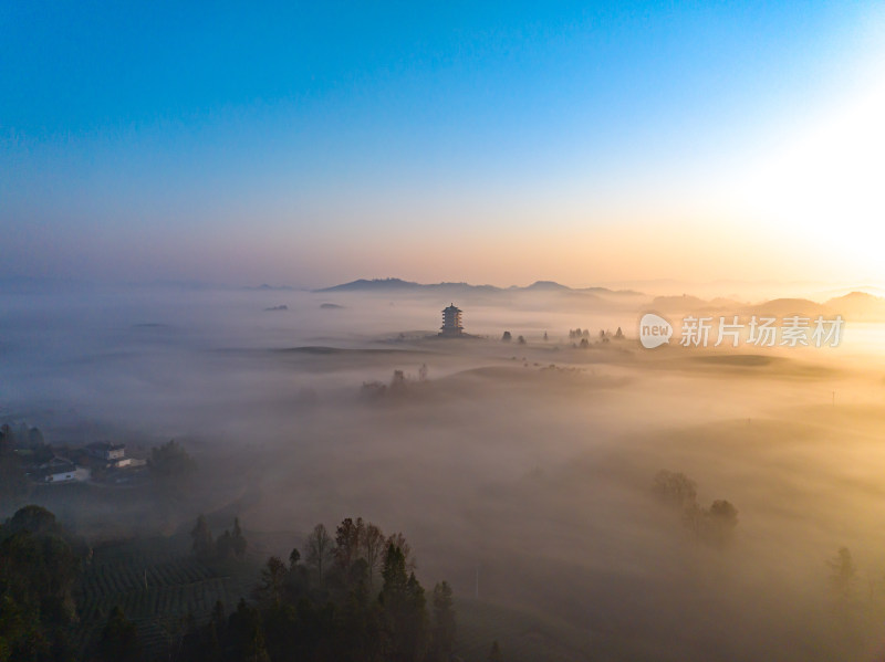贵州遵义湄潭茶海