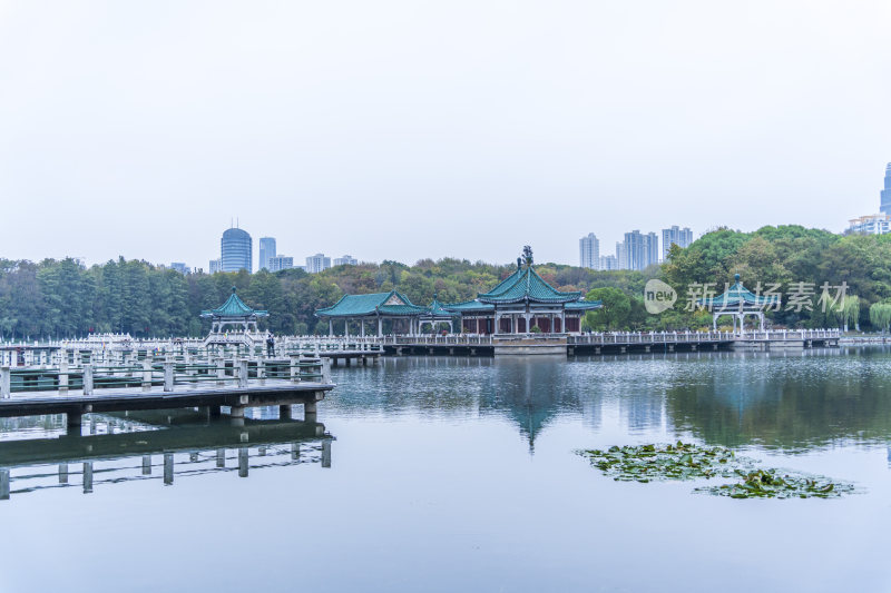 武汉东湖国家湿地公园碧潭观鱼