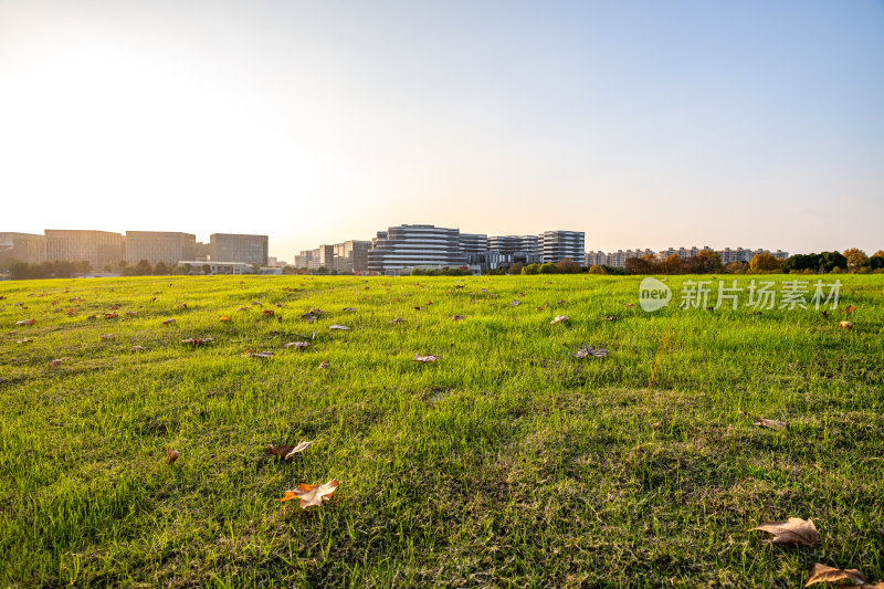 上海闵行文化公园大草坪黄昏日落景观