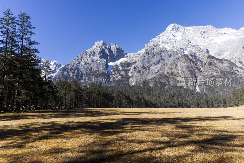 云南丽江玉龙雪山云杉坪