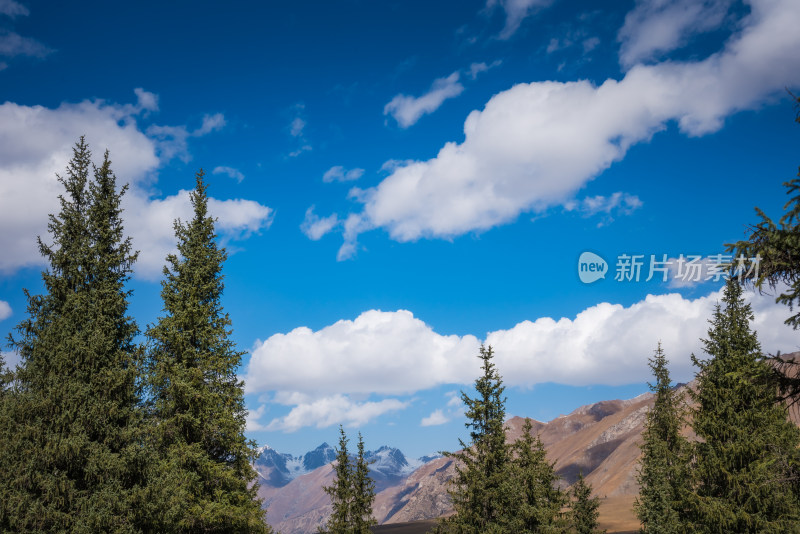 新疆天山山脉雪山森林山峰风景