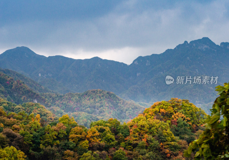 河南洛阳嵩县的白云山风景区秋色