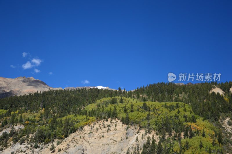 米堆冰川，然乌湖风景