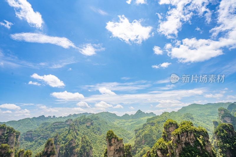 中国湖南张家界景区奇特山峰与茂密森林