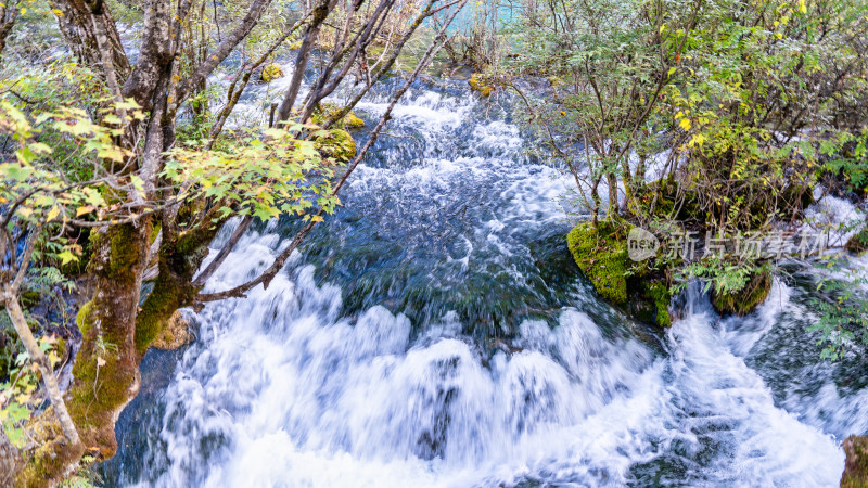 四川九寨沟景区的水景