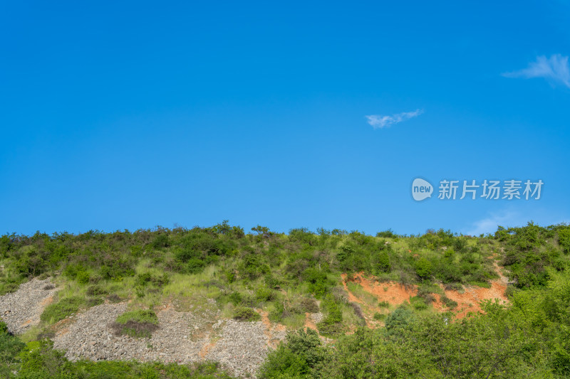 蓝天映衬下的植被覆盖山坡景观