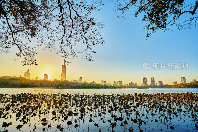 夕阳下的高楼大厦