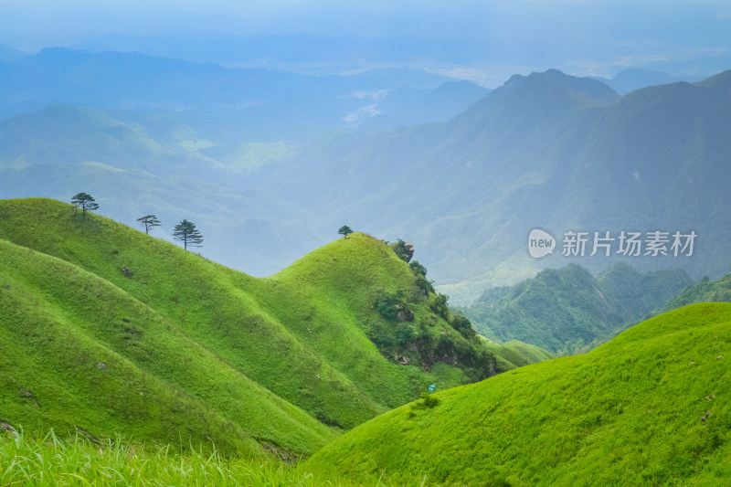 江西武功山高山草甸