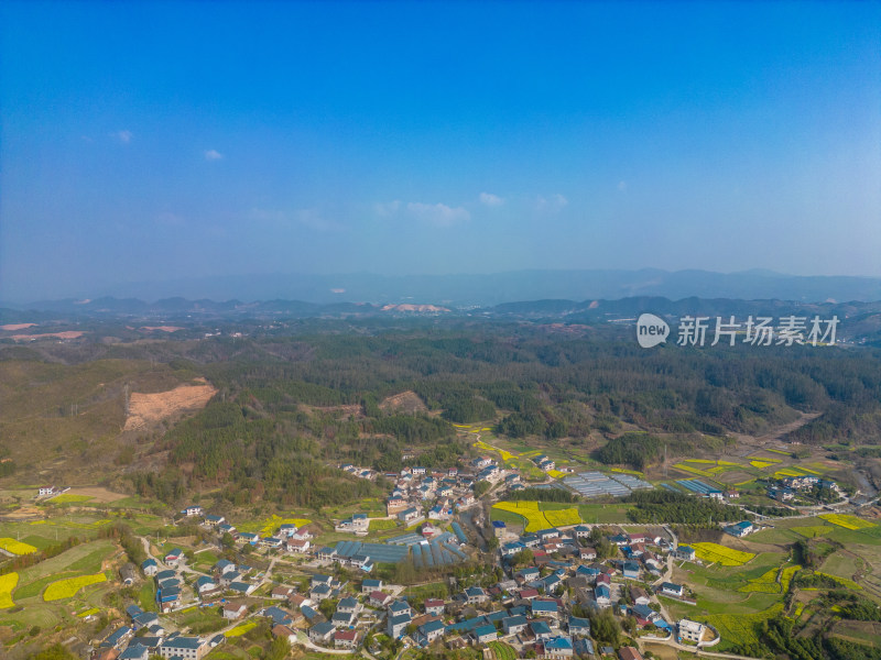 山川农田油菜花美丽乡村航拍摄影图