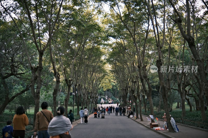 深圳莲花山公园