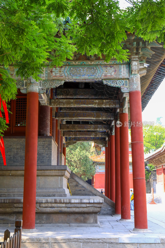 石家庄正定古城隆兴寺