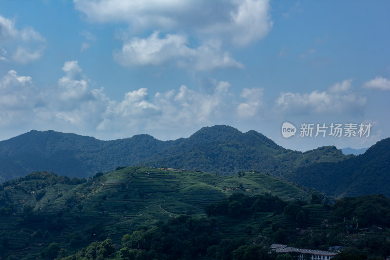 杭州南高峰俯瞰青山茶园自然风光