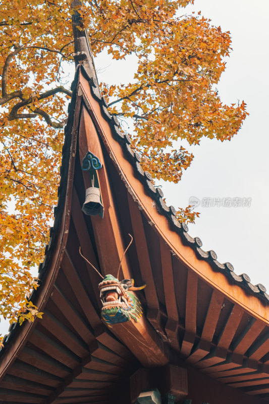 杭州灵隐寺中式建筑飞檐龙头装饰