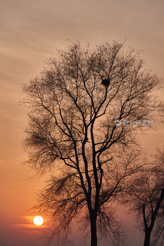 金色的夕阳