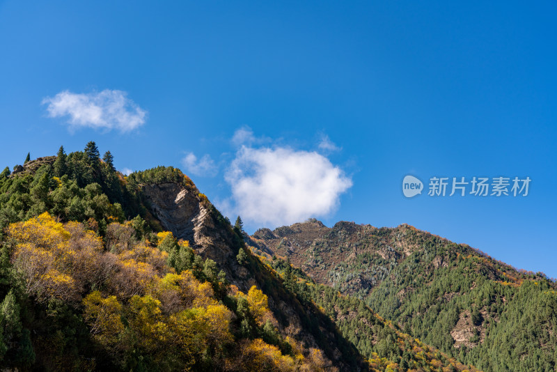 青海祁连风景区的秋色