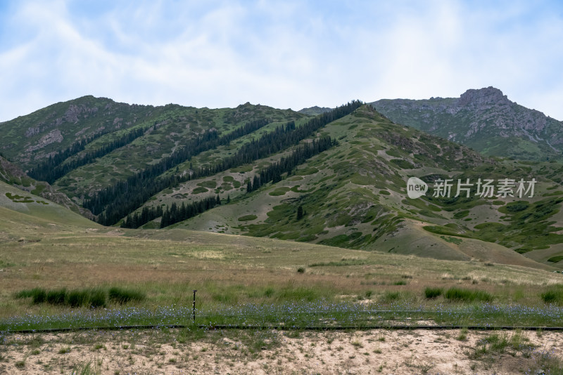 夏日，新疆赛里木湖国家级风景名胜区风光