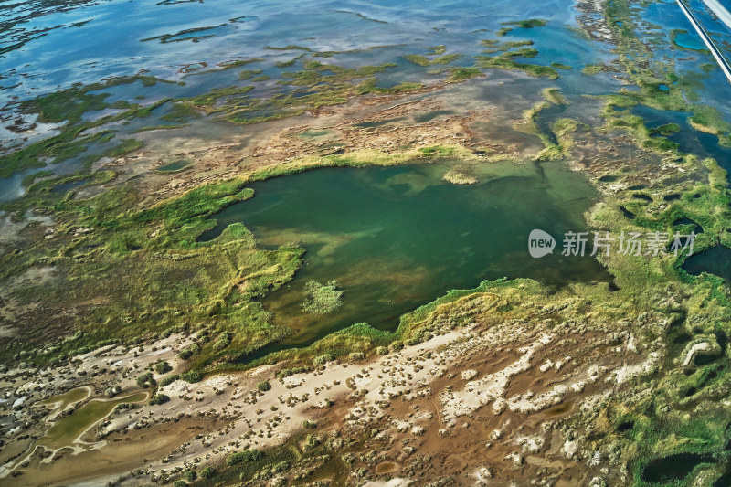 新疆若羌台特玛湖