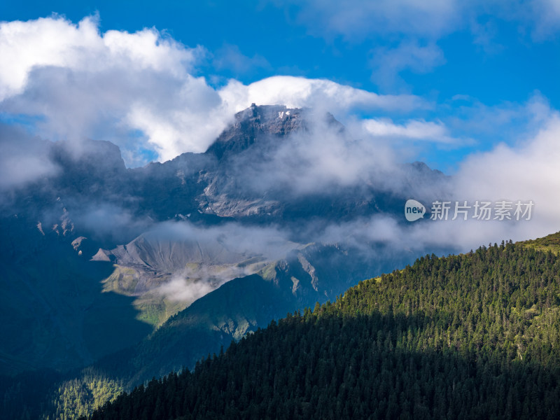 高原云海高耸壮丽山峰云雾缭绕雪山原始森林