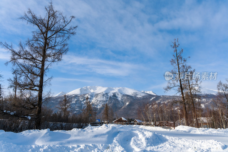 中国新疆喀纳斯冬季雪景冰雪旅游春节旅游