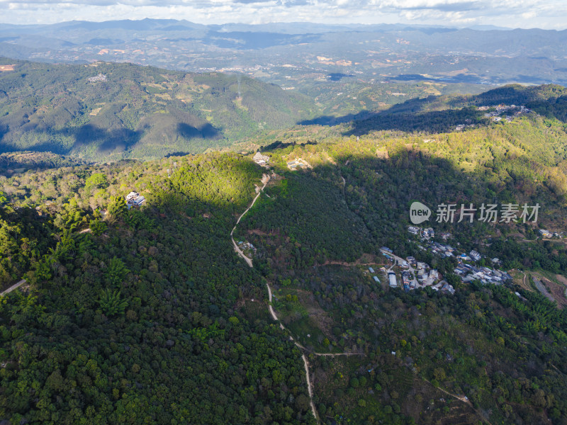 航拍被森林环绕的景迈山村庄全景