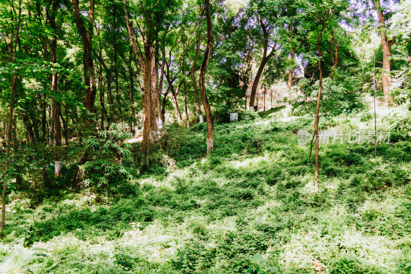 襄阳古隆中景区