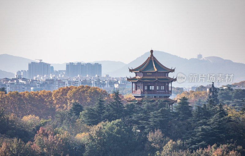 南京雨花台城市山林景观全景