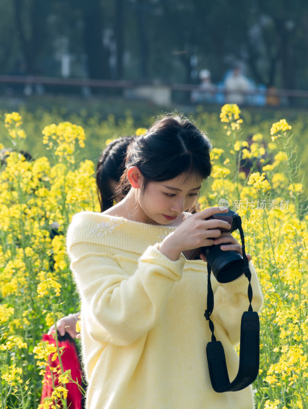 女孩在油菜花田持相机拍照