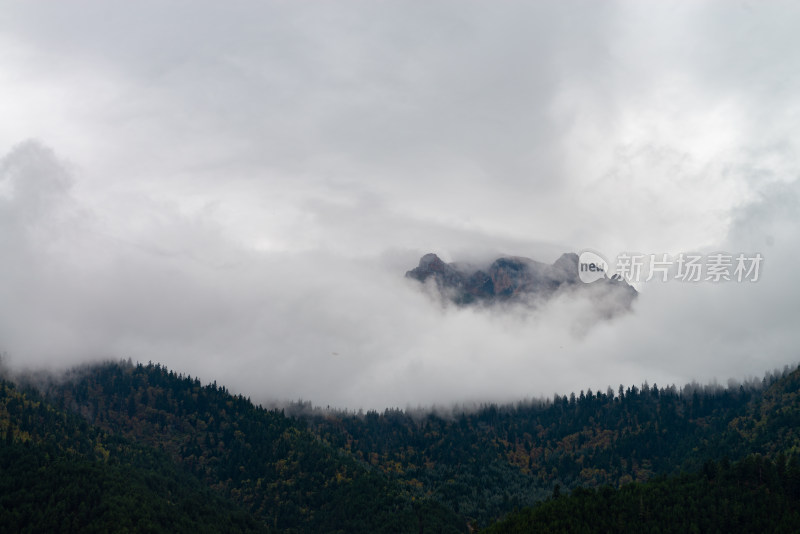 云雾中的森林山峰虎头山