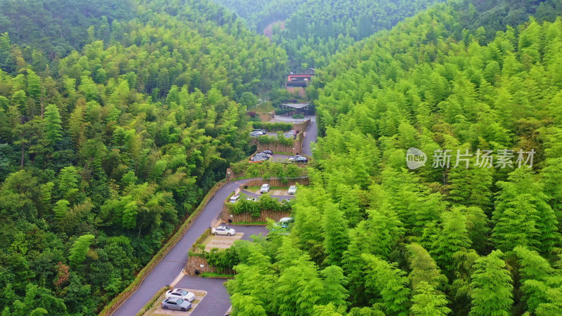 湖州莫干山竹海航拍