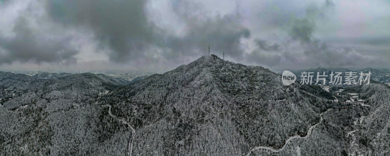 冬天森林美丽雪景全景图