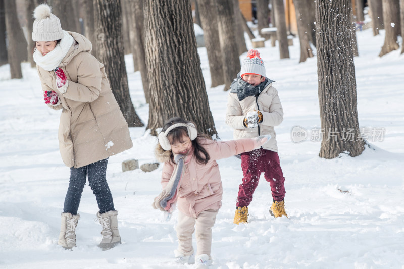 雪地里打雪仗的快乐家庭